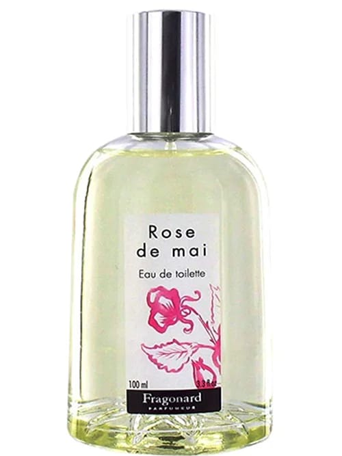 Rose De Mai by Fragonard