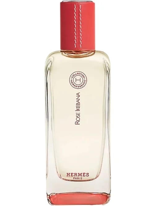 Rose Ikebana by Hermès