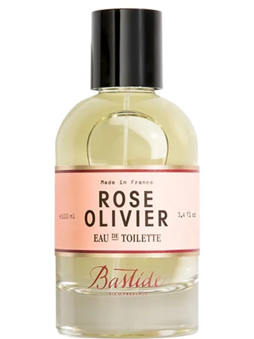 Rose Olivier by Bastide