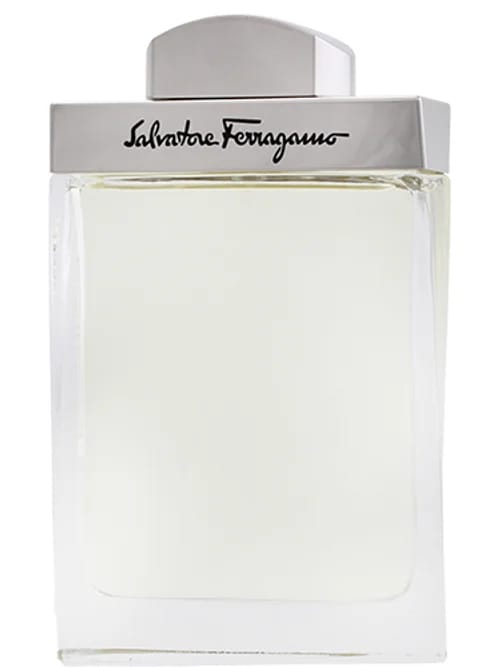 Pour Homme by Salvatore Ferragamo
