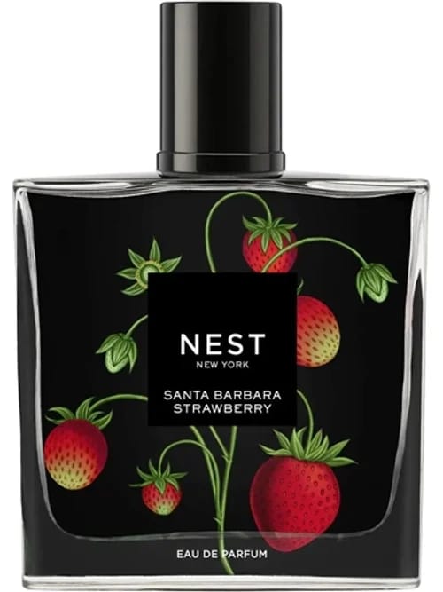 Santa Barbara Strawberry by Nest