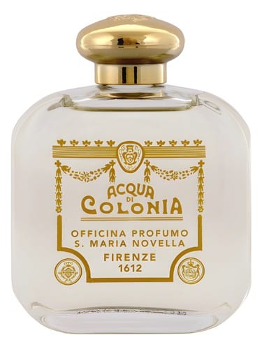 Rosa by Santa Maria Novella
