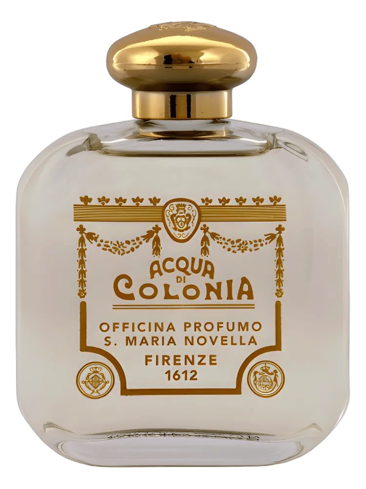 Rosa by Santa Maria Novella
