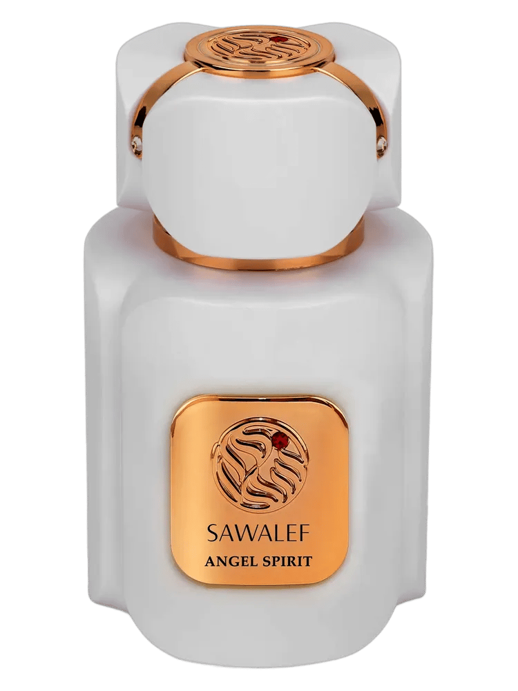 Angel Spirit by Sawalef