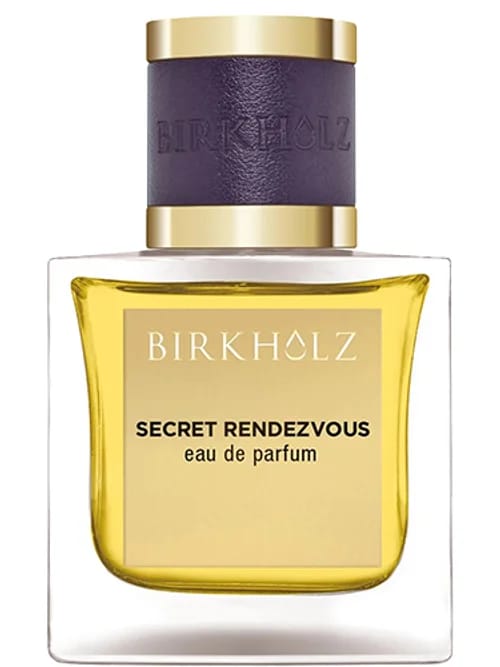 Secret Rendezvous by Birkholz