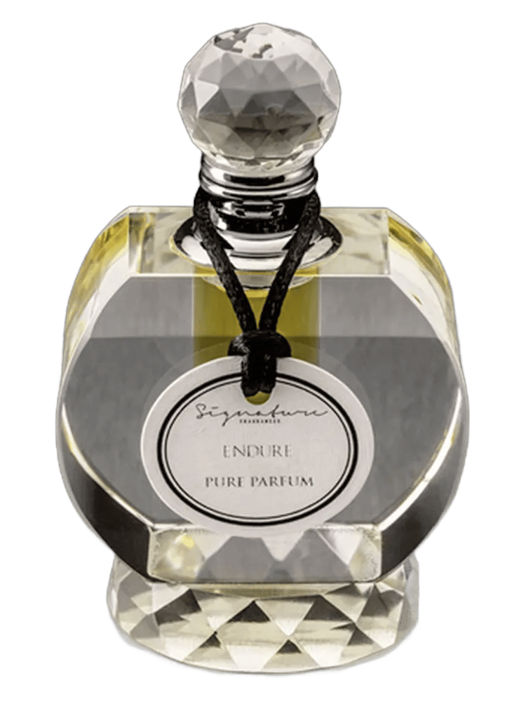 Endure by Signature Fragrances