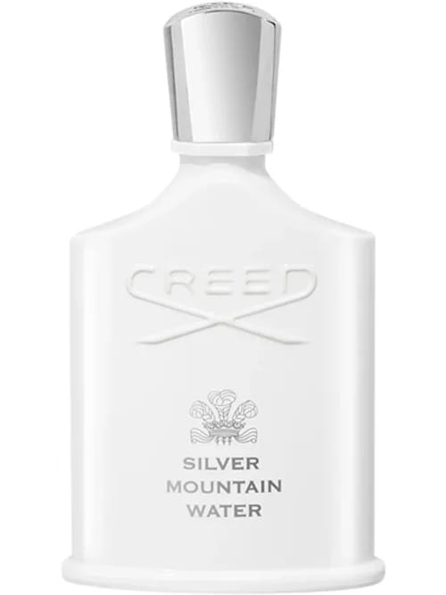 Silver Mountain Water
