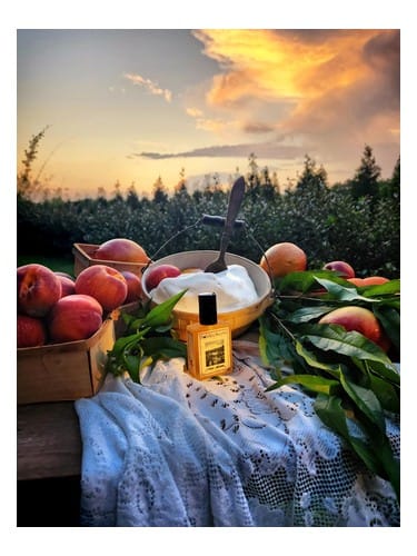 Iced Nectar by Solstice Scents