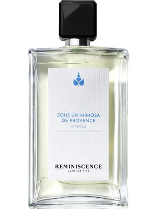 Sous Un Mimosa De Provence by Reminiscence