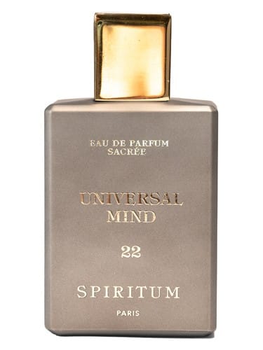 22 Universal Mind by Spiritum