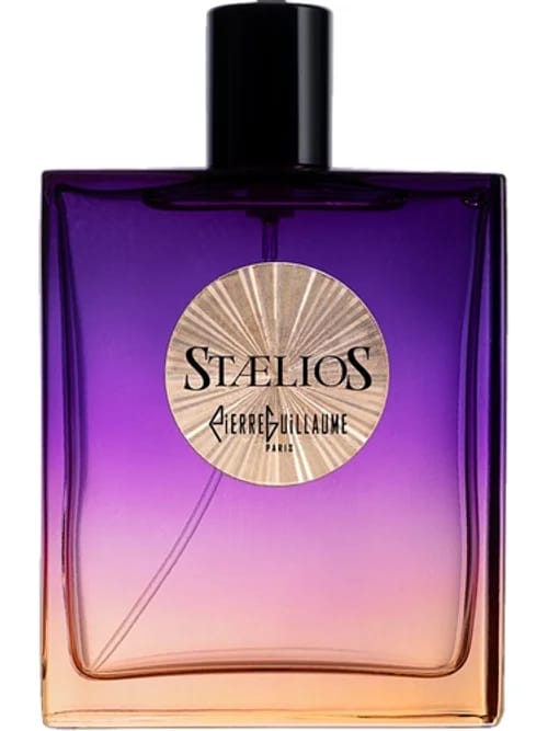 Staelios by Pierre Guillaume Paris