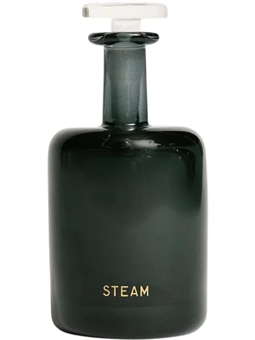 Steam by Perfumer H