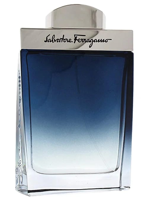 Subtil Pour Homme by Salvatore Ferragamo