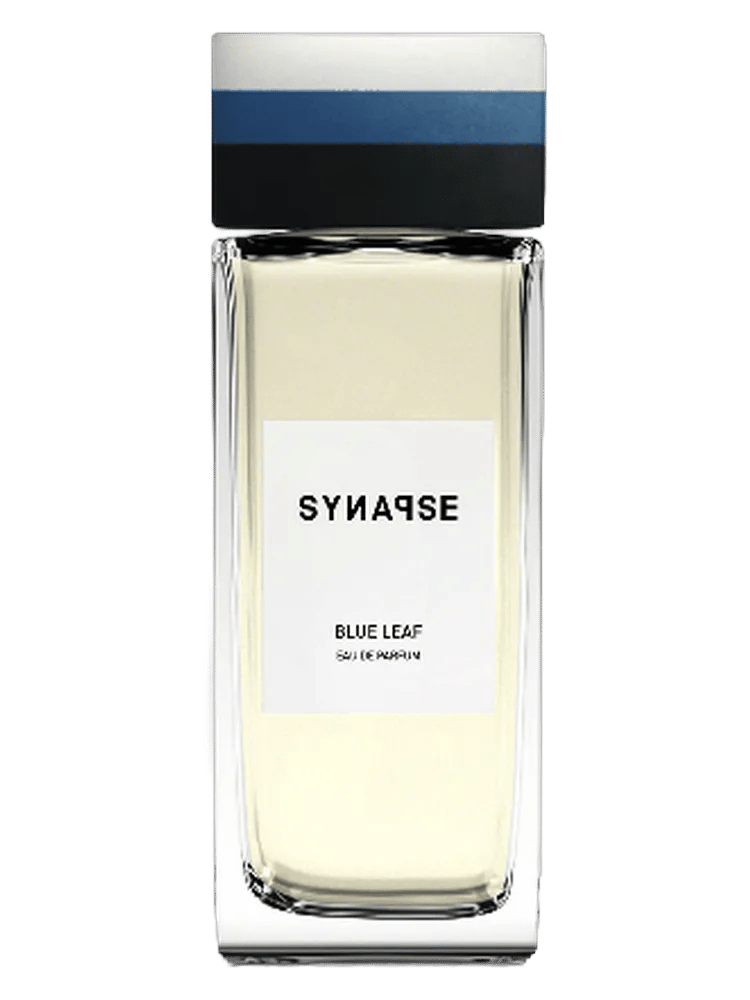 Blue Leaf by Synapse
