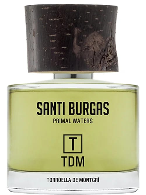 T Tdm by Santi Burgas