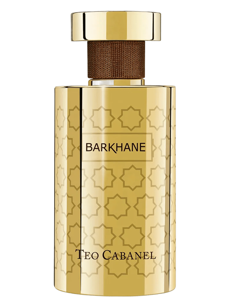 Barkhane by Téo Cabanel