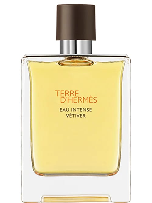 Terre D' Eau Intense Vétiver by Hermès