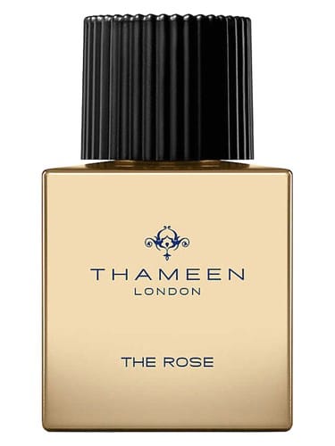 The Rose by Thameen