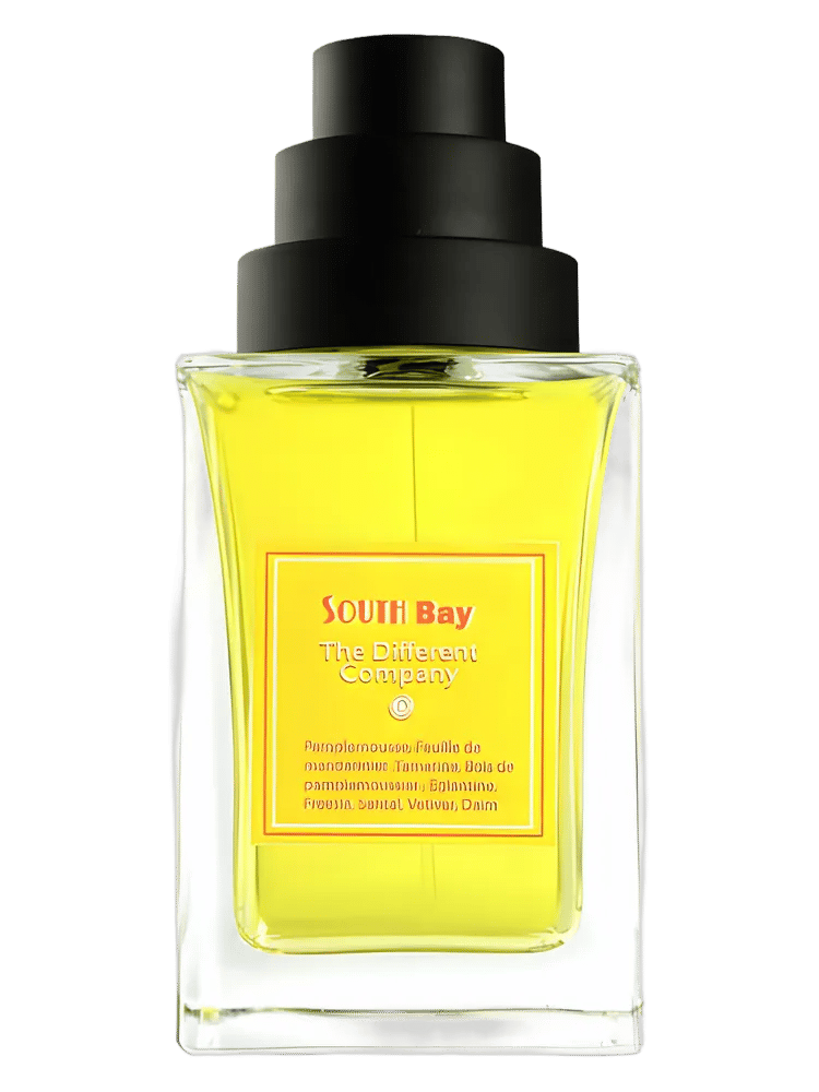 South Bay by The Different Company