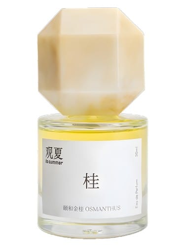 Osmanthus by To Summer