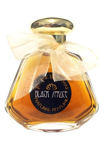 Black Spruce by TRNP