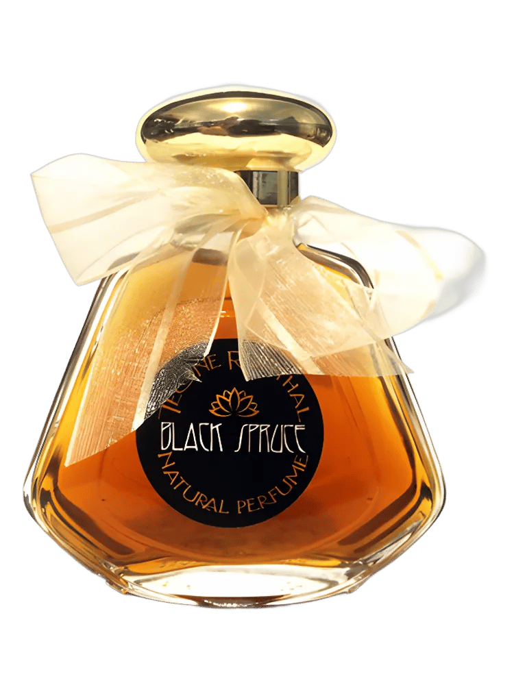 Black Spruce by TRNP