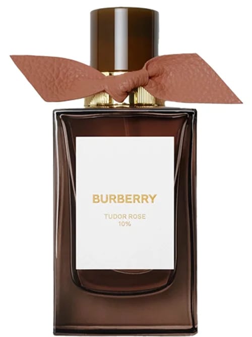 Tudor Rose by Burberry
