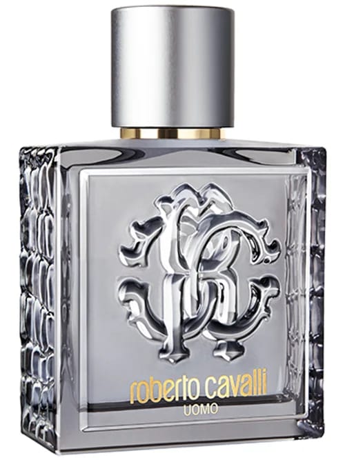 Uomo Silver Essence by Roberto Cavalli
