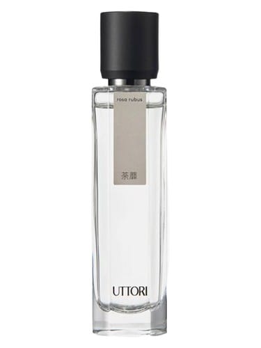 Rosa Rubus by Uttori