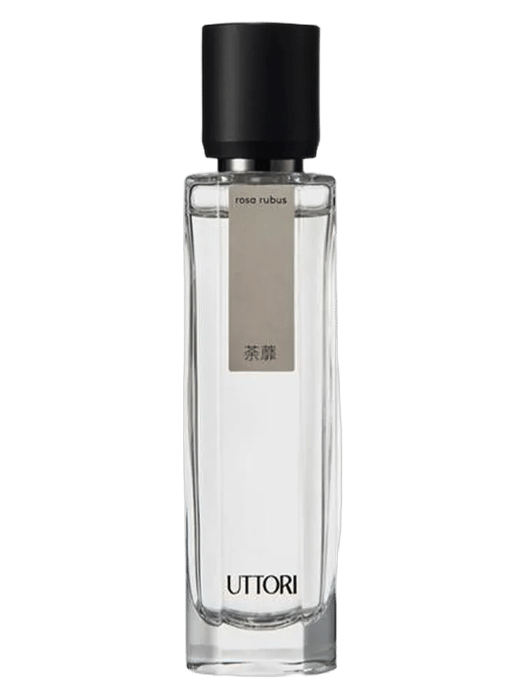 Rosa Rubus by Uttori