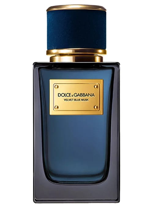 Velvet Blue Musk by Dolce & Gabbana