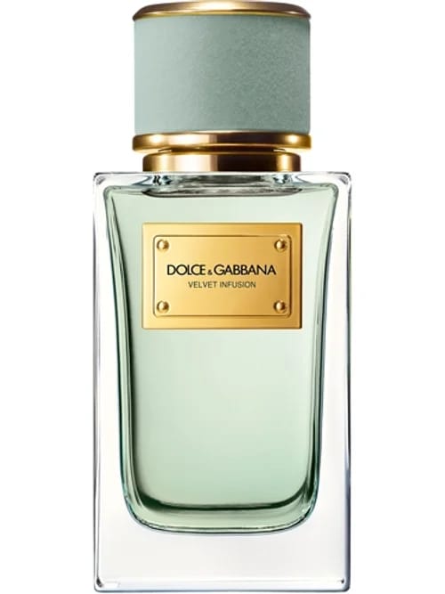 Velvet Infusion by Dolce & Gabbana