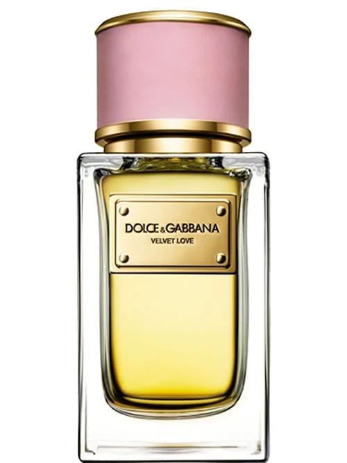 Velvet Love by Dolce & Gabbana