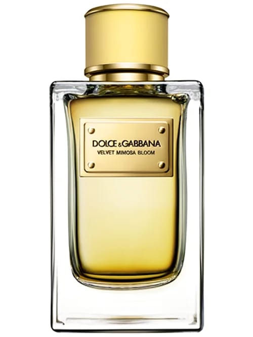 Velvet Mimosa Bloom by Dolce & Gabbana