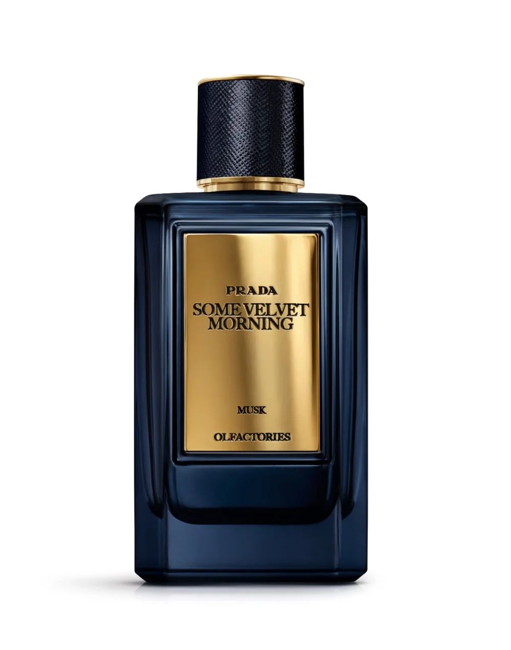 Velvet Morning by Prada