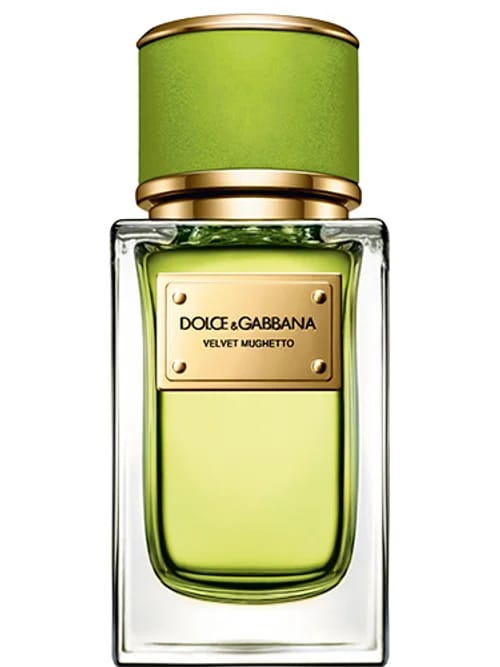 Velvet Mughetto by Dolce & Gabbana