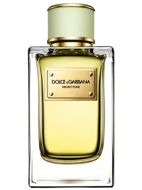Velvet Pure by Dolce & Gabbana