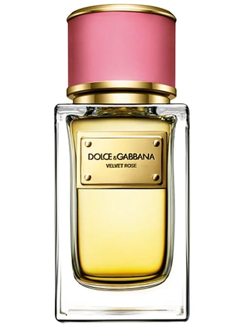 Velvet Rose by Dolce & Gabbana