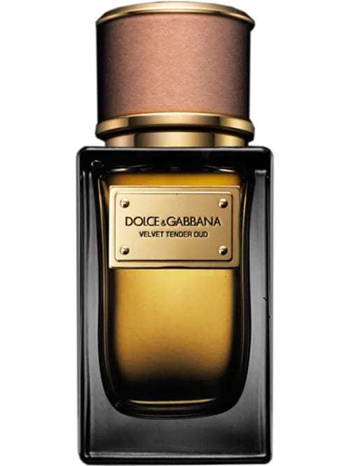 Velvet Tender Oud by Dolce & Gabbana