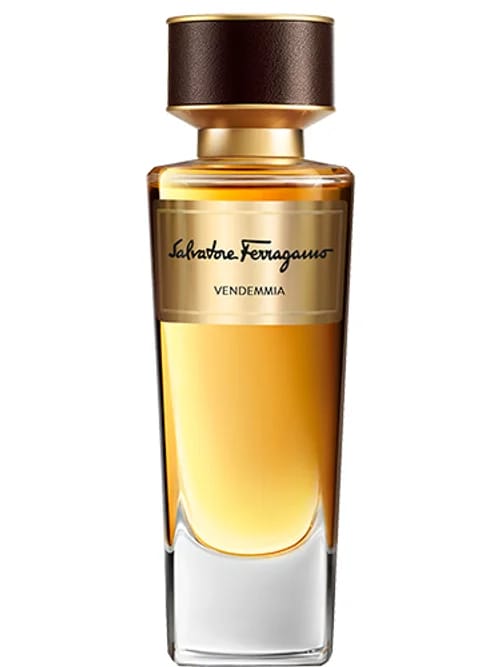 Vendemmia by Salvatore Ferragamo