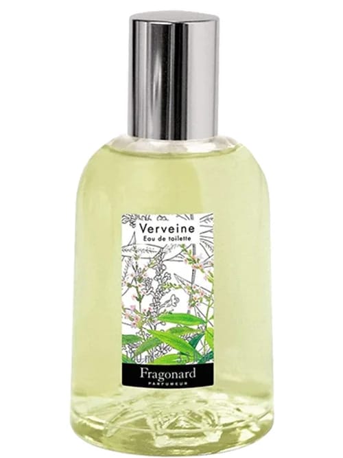 Verveine by Fragonard
