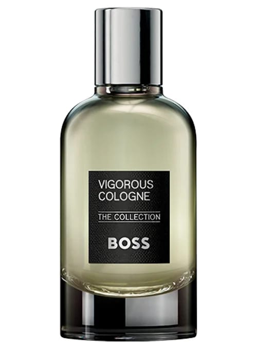 Vigorous by Hugo Boss