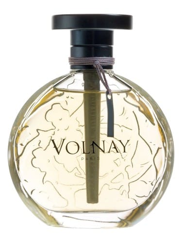 Ambre De Siam by Volnay