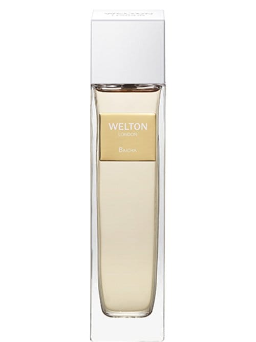 Baicha by Welton London