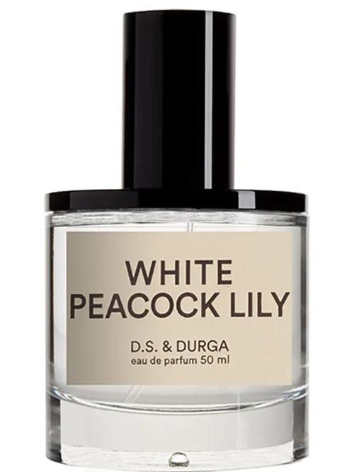 White Peacock Lily by D.S. & Durga