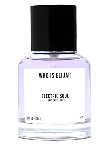 Electric Soul by Who is Elijah