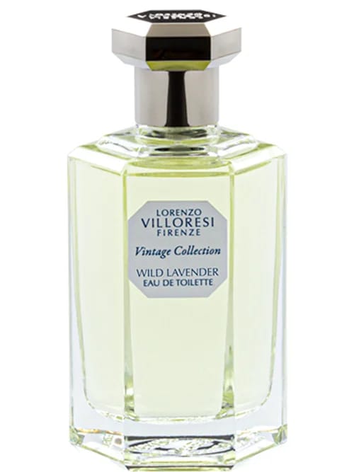 Wild Lavender (Inglese) by Lorenzo Villoresi