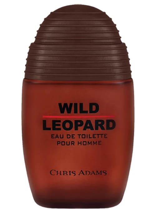 Wild Leopard by Chris Adams