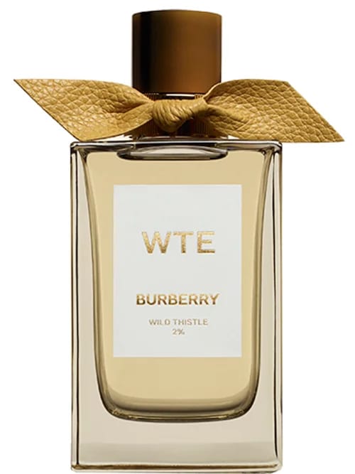 Wild Thistle by Burberry