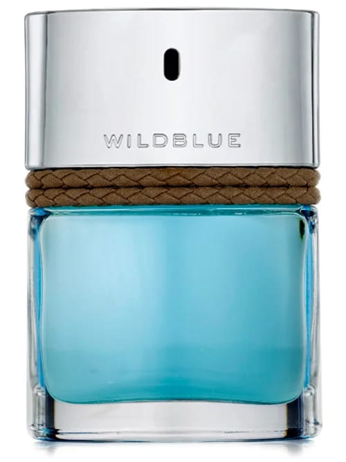 Wildblue For Men by Banana Republic